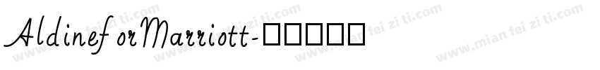 AldineforMarriott字体转换