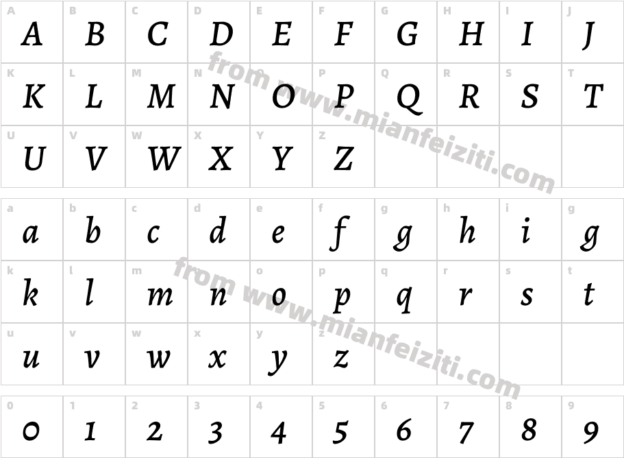 Alegreya  Medium  Italic字体字体映射图