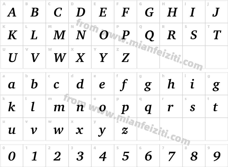 TypoPRO Charter Bold Italic字体字体映射图