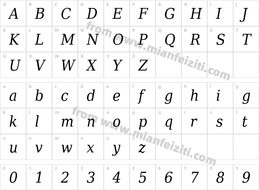 TypoPRO Deja Vu Serif Condensed Italic字体字体映射图